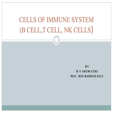 Cells of immune system