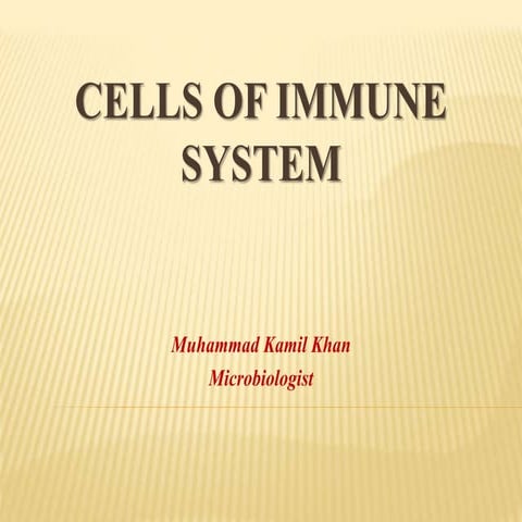 Cells of immune system