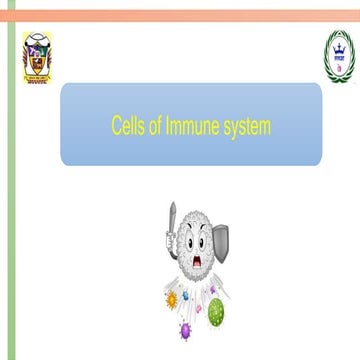 Cells of immune system