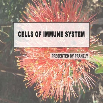 Cells of the immune system | PPTX