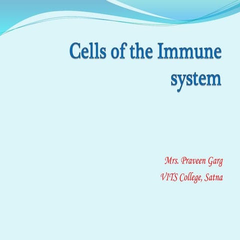 Cells of the immune system