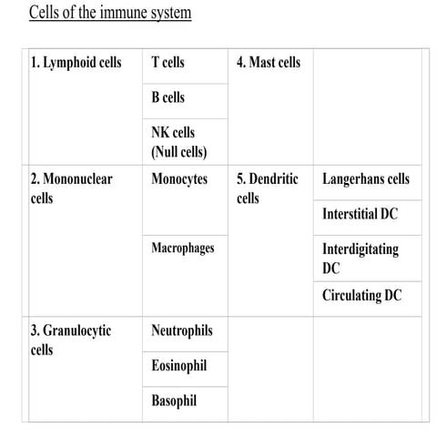 Cells of the immune system