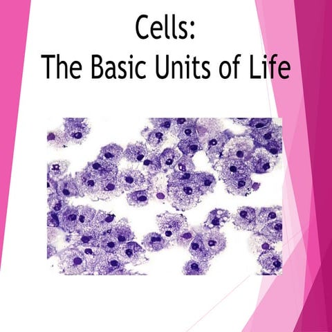 Cells powerhouse carpenter.pptx