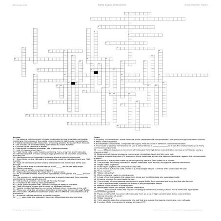 Cells Super Crossword