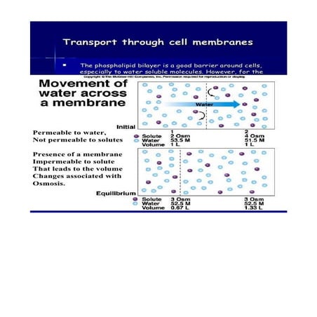 Cell structure | ODT