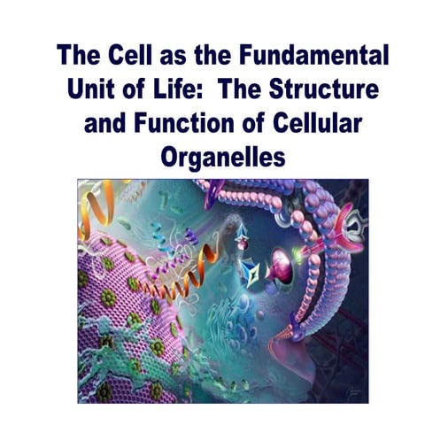 Cell structure and function | PPT