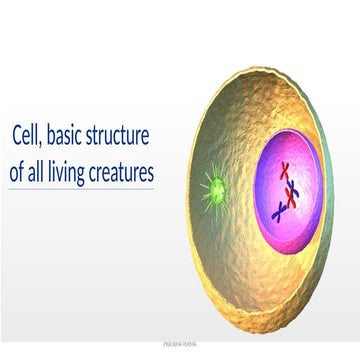 Physical properties of protoplasm | DOCX