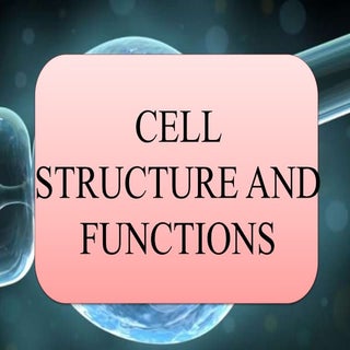 Cell structure and functions
