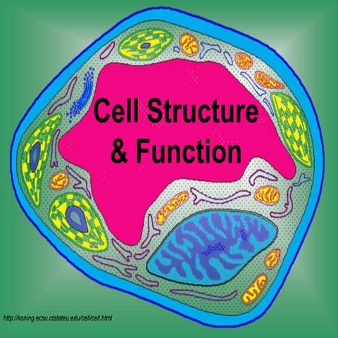 Cell_structure_function.ppt