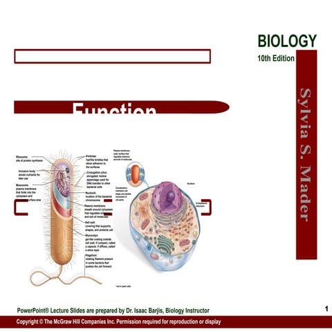 Cell Structure & Function for biology .pptx