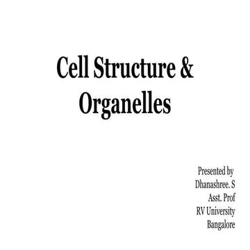 Cell Structure & Organelles in detailed.