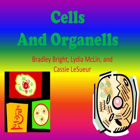 Cells and Organelles