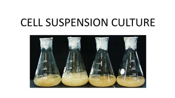 Cell suspension culture | PPT