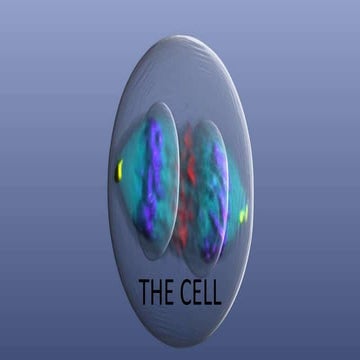 Cell theory