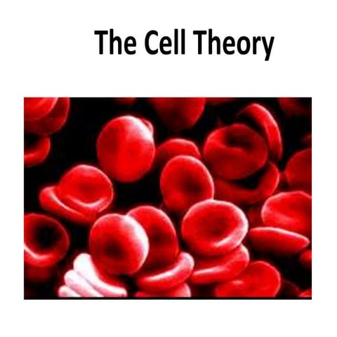 Cell theory, fundamental scientific theory of biology according to which cells are held to be the basic units of all living tissues
