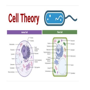 The cell theory | PPT