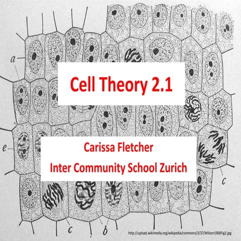 Cell theory 
