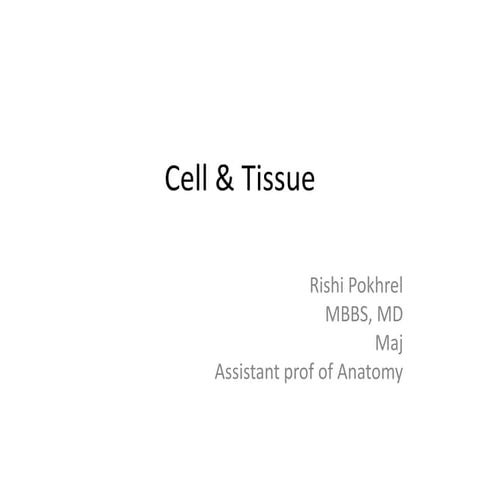Cell & tissue nursing