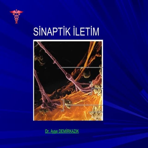 Cell to cell conduction