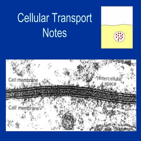 Cell Transport and The Plasma Membrane