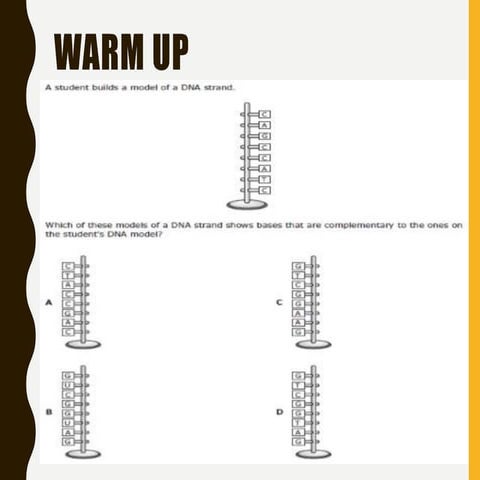 Cell Transport ppt.ppt