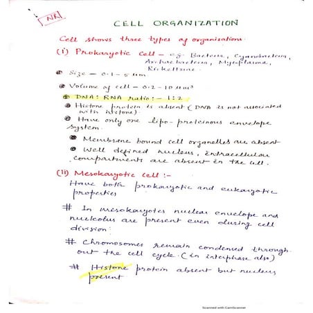 Cell types | PDF