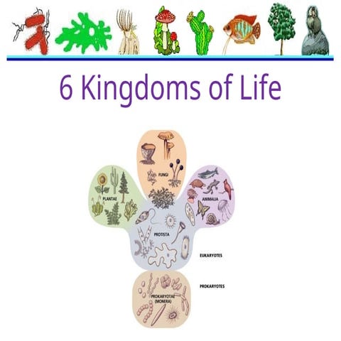 Cell Types and Its function ,  kingdom of life