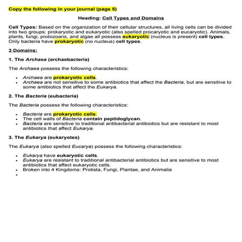 Cell Types And Domains