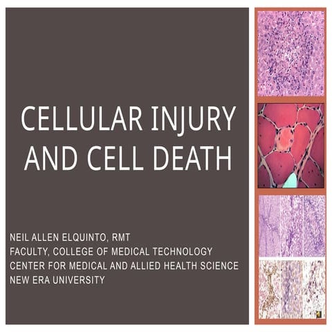 CELL INJURY | PPTX