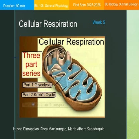 Cellular-Respiration-PowerPoint Presentation