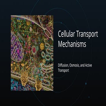 Comprehensive Overview of Cellular Transport Mechanisms: Diffusion ...