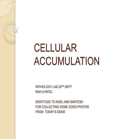 Patho-Lab 22nd Sept Cellular Accumulations | PPTX