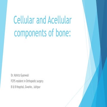 Cellular and acellular components of bone