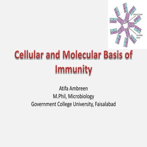 Cellular and molecular basis of immunity