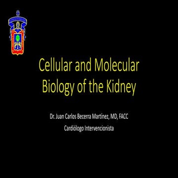 Cellular and molecular biology of the kidney