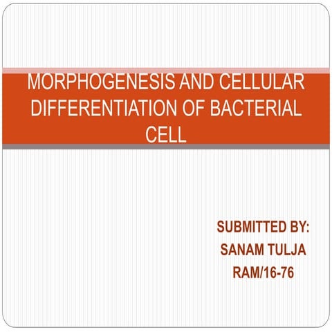Cellular differentiation