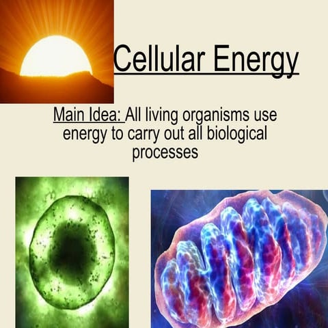 Biochemistry Bioenergetics | PPTX