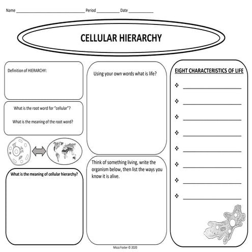 CellularHierarchyWorksheeetSTUDENTempty.pdf