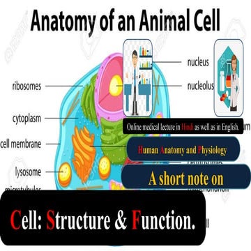 Structure and Functions of Cell.pdf