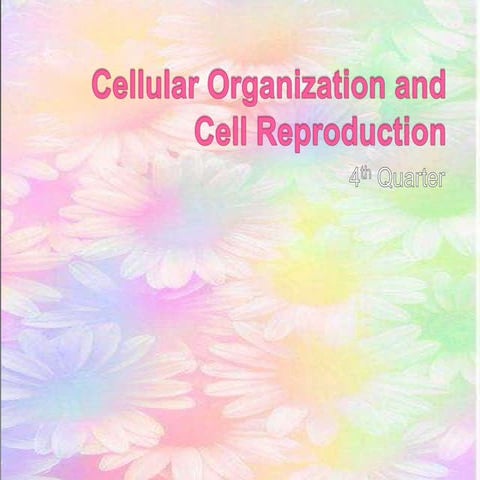 Cellular organization and cell reproduction