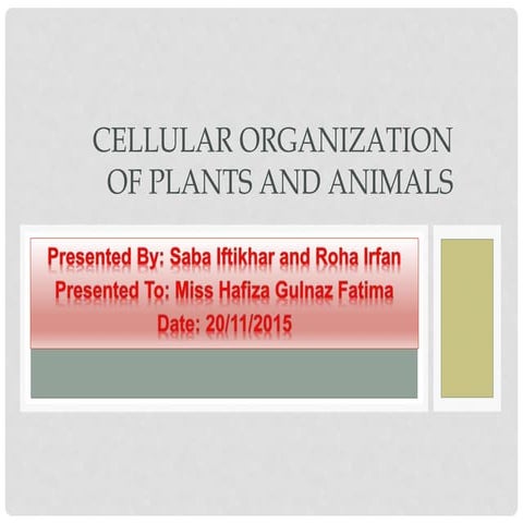 Cellular organization of plants and animals 