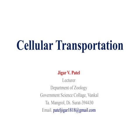 Cellular transport