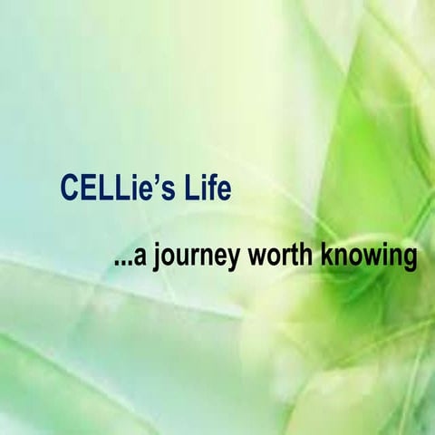 Cellular reproduction