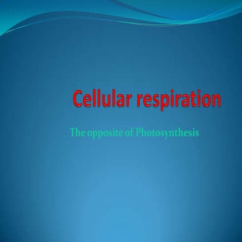 CELLULAR RESPIRATION FOR GRADE 12 | PPTX
