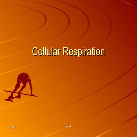 Cellular respiration