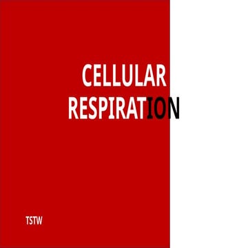 Cellular respiration introduction 10grade.pptx