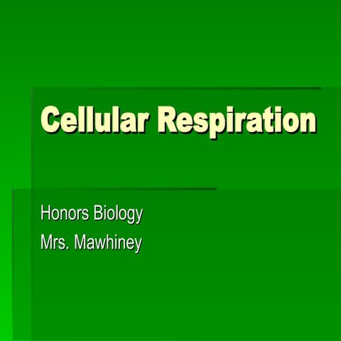 Cellular_Respiration: Glycolysis, Kreb Cycle, ETC