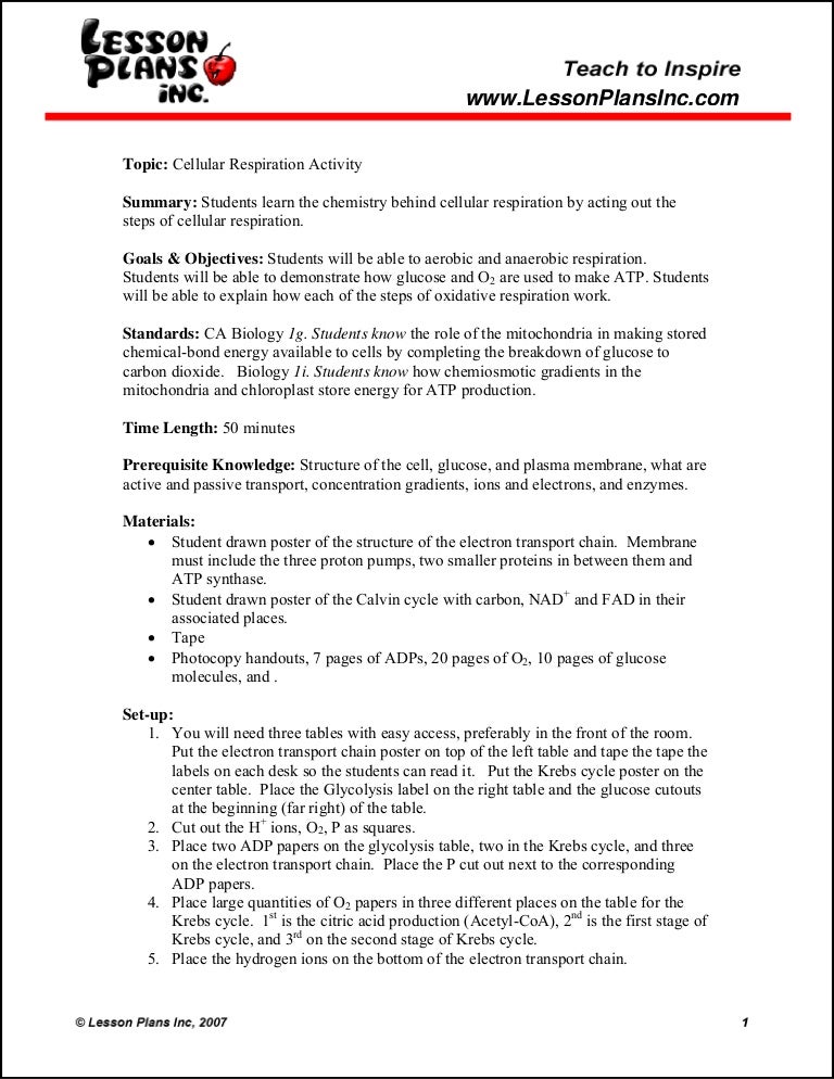 Cellular respiration activity (1)