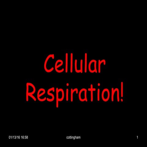 Cellular respiration master honors
