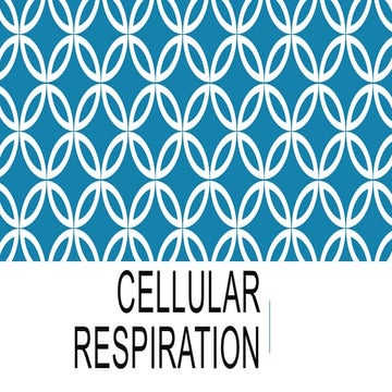 Cellular Respiration Notes